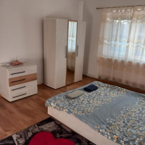 Apartamentul de la râu Rasnov